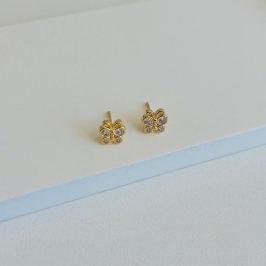 Brinco borbobeta de zirconia