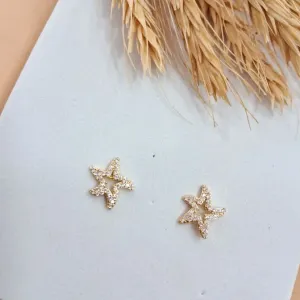 Brinco estrela cravejada vazada