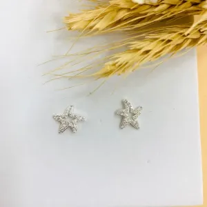 Brinco estrela cravejada vazada prata