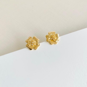 Brinco flor 6 pétalas