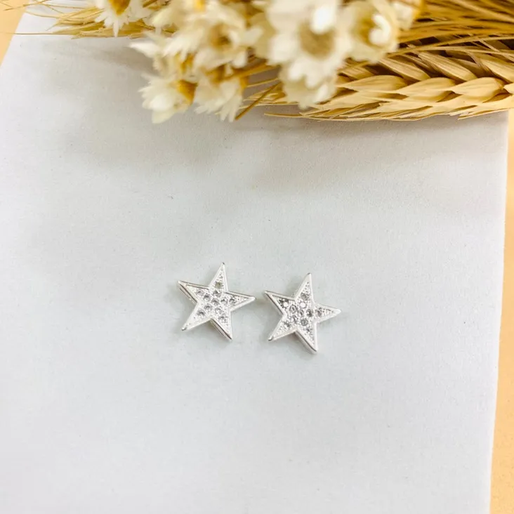 Brinco estrela cravejada prata